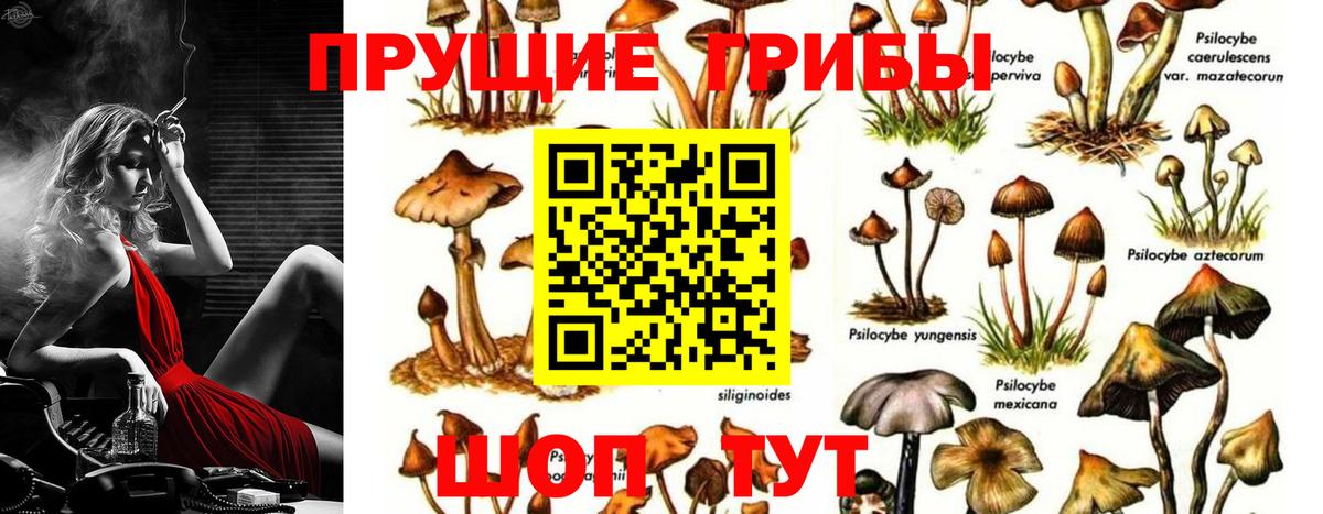 Галлюциногенные грибы прущие грибы Нарткала