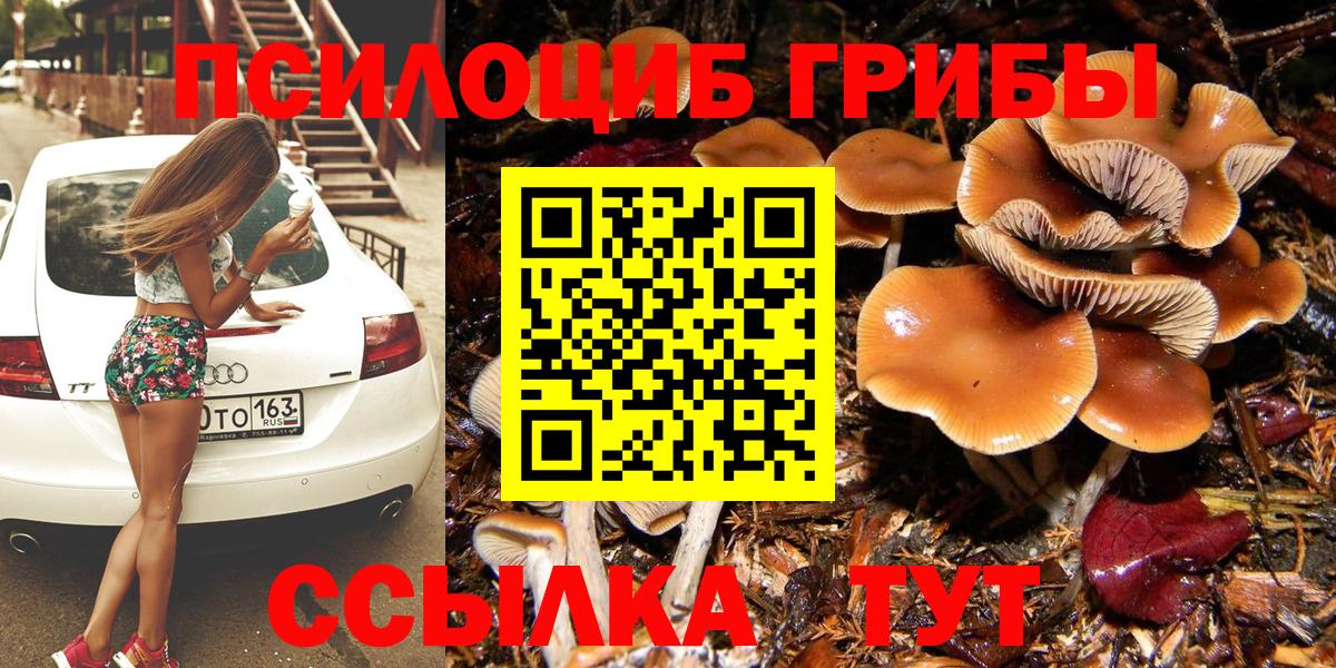 Нарткала  Псилоцибиновые грибы Cubensis  как найти закладки  Вход с VPN 